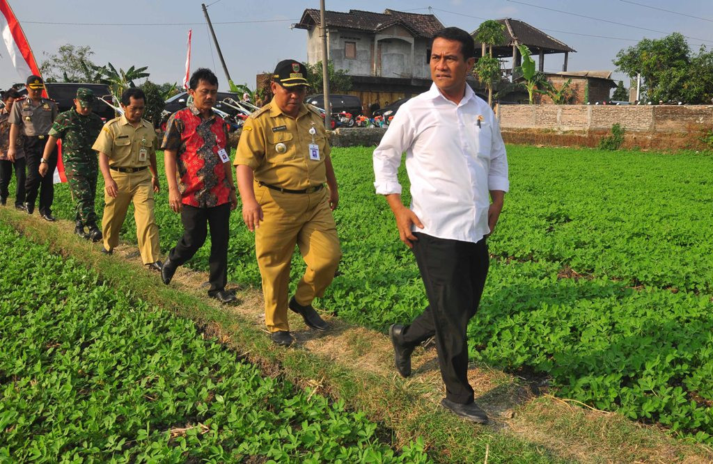 Menteri Pertanian Amran Sulaiman (kanan) (ANTARA FOTO/ Aloysius Jarot Nugroho)