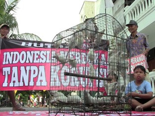 Peringati HUT ke-70 RI, Warga Solo Tangkap Tikus