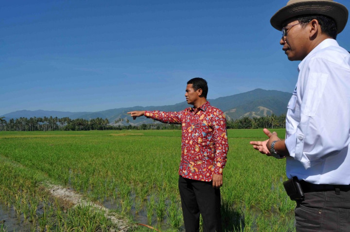 Pemerintah Siapkan Hujan Buatan Atasi El Nino