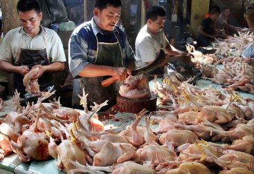 Minggu-Selasa, Pedagang Ayam di Bogor, Jakarta, Sukabumi Mogok