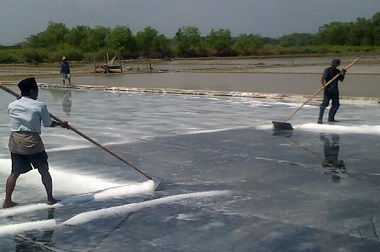 Petani Diminta Produksi Garam Berkualitas Industri