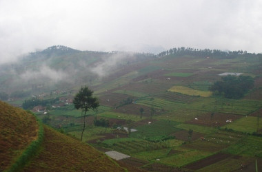 Ribuan Hektare Hutan Lindung di Brebes Beralih Fungsi Jadi Kebun Sayur