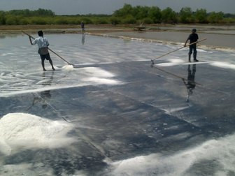 Produksi Garam Jatim Lampaui Target Nasional, Alih-alih Impor