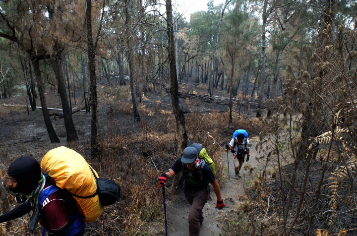 Dilarang Upacara dan Bikin Api Unggun di Puncak Mahameru