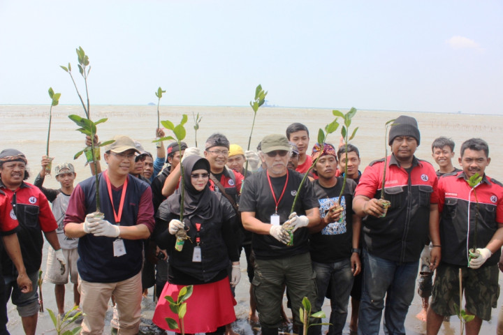 Iwan Fals Tanam 10 Ribu Mangrove di Cirebon