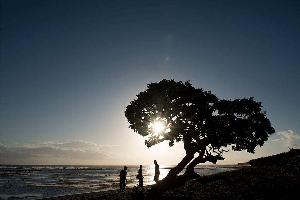 Daya Tarik Wisata Pesisir Pantai Rote Ndao
