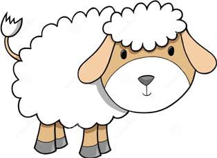 Domba Melahirkan Anak Berkepala Ayam