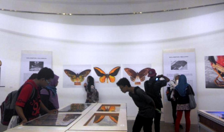 Menelusuri Teori Evolusi pada Pameran 125.660 Spesimen Sejarah Alam