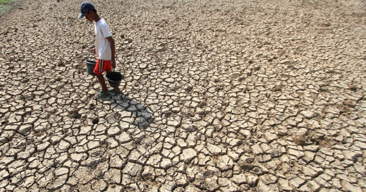 Legislator: Pemerintah Perlu Tingkatkan Bimbingan Hadapi El Nino 