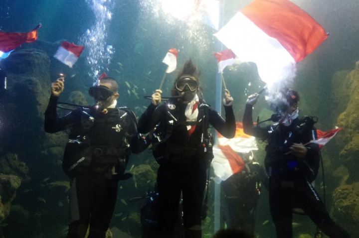 Chua 'Kotak' Kibarkan Bendera di Akuarium SeaWorld