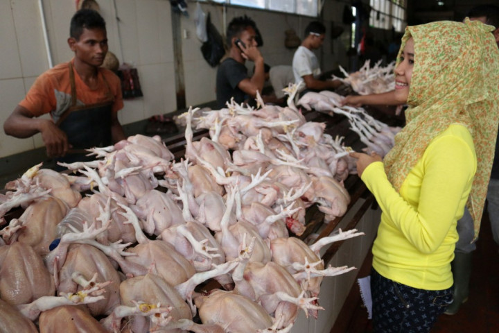 Harga Daging Ayam di Mukomuko Bertahan Tinggi