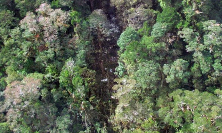 KNKT Sebut Trigana IL 267 Layak Terbang  