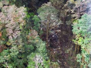 Cari Korban Trigana, Freeport Kerahkan Helikopter 