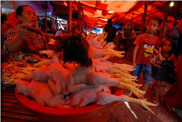 Pemkot Bandung Antisipasi Kelangkaan Daging Ayam