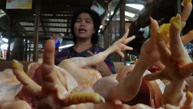 Harga Daging Ayam di Pasar Limpung Tembus Rp35 Ribu per Kg 