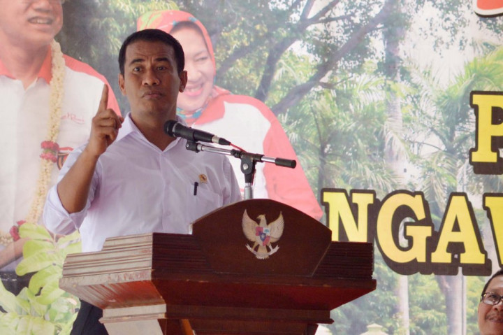 Seminggu, Mentan Janjikan Harga Ayam Stabil