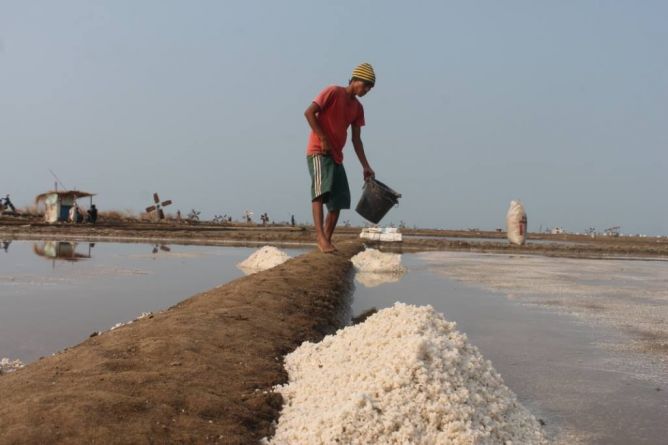 Petani Garam Minta Pemerintah Tekan Impor Garam
