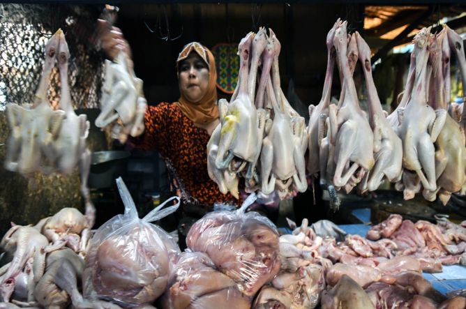 Mentan: Seminggu Lagi, Harga Daging Ayam Normal