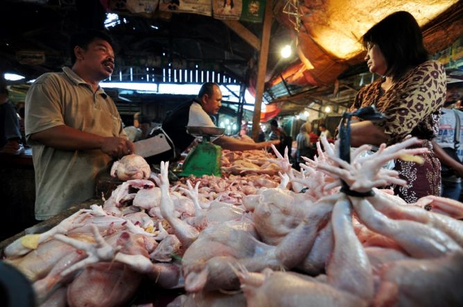 Harga Daging Ayam di Bali Melonjak  