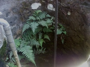 Heboh, Sumur Warga Sleman Keluarkan Asap Putih Biru