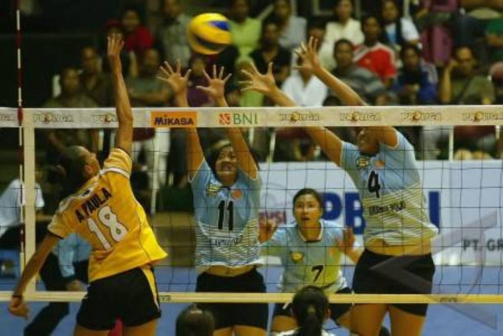 Laga di ajang Proliga (Dok: Antara)