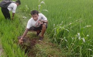 Gali Sawah Seminggu, BPCB Tak Temukan Candi