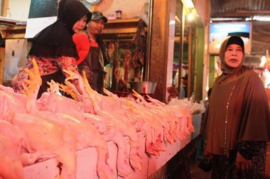 Omzet Menurun, Pedagang Daging Ayam Tetap Berjualan