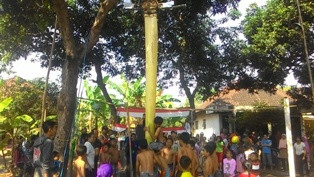 Lomba Panjat Pisang Tutup Peringatan HUT RI di Sidoarjo