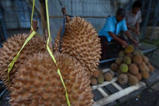  Pedagang Durian di Pasar Minggu Ditertibkan