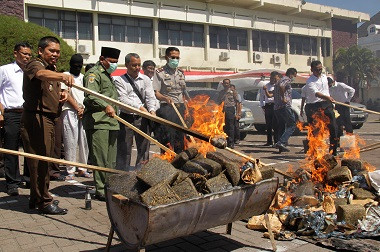 Aceh Police Burns 215 Kg of Marijuana
