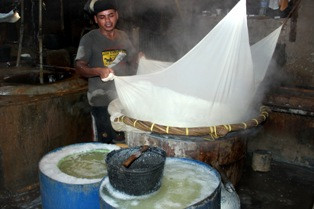 Selain Naik, Kedelai Lokal Langka di Pasaran