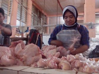 Harga Ayam Potong di Yogyakarta Turun Rp3 Ribu