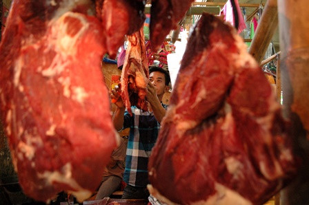 Ekonomi Rente Impor Daging