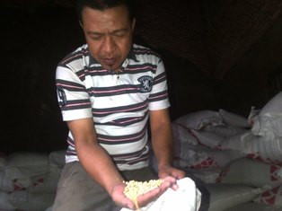 Harga Kedelai Bangkalan Tak Terpengaruh Gejolak Rupiah