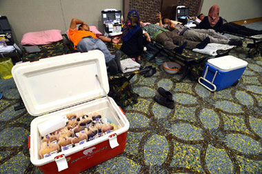 PMI Day & Blood Donation di GIIAS 2015, Himpun 272 Kantong Darah  