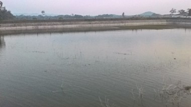 Kekeringan, DPRD Minta Pemkab Malang Tambah Penampungan Air