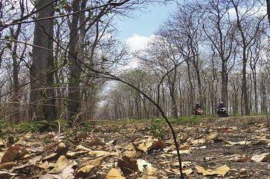 BPBD Kesulitan Distribusikan Air Bersih di Malang