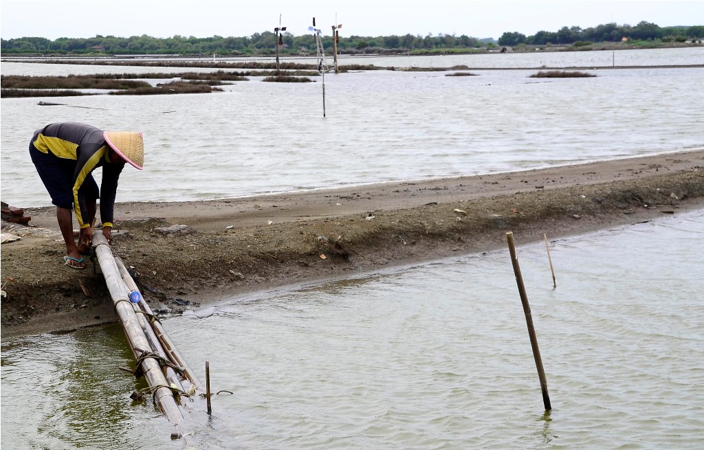  Petani garam Desa Sawojajar, Kecamatan Wanasari, Brebes. Foto: Metrotvnews.com/Kuntoro Tayubi