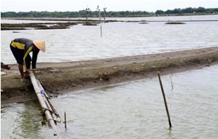 Panen Raya, Petani Garam Justru Buntung
