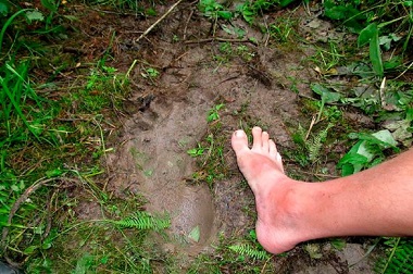 Bocah Klaim Temukan Jejak Kaki Yeti Di Area Perkemahan