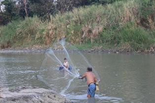 Sungai Cimanuk Surut, Warga Manfaatkan Tangkap Ikan