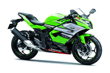 Kawasaki Ninja RR Mono <i>Livery</i> WSBK, Siap Dipinang