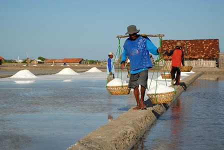 Berharap pada PT Garam