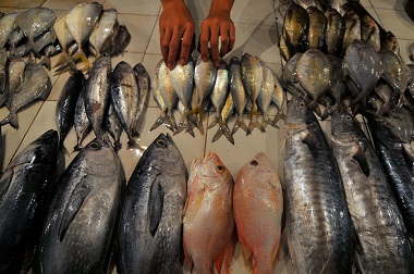 Minister Susi Affirmed No Fishing in Indonesia for Foreign Parties