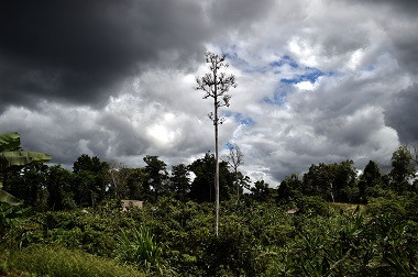 Dua WNI Disandera Kelompok Bersenjata di Papua Nugini