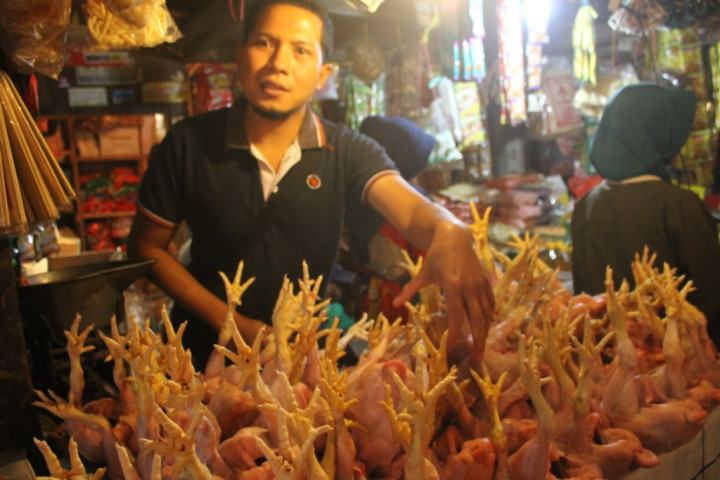 Ada Temuan Ayam Formalin, Mentan Koordinasi dengan Kemendag