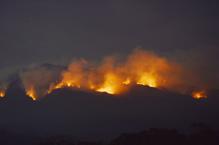 Tahun Depan, Relawan PMI Ikut Padamkan Kebakaran Hutan