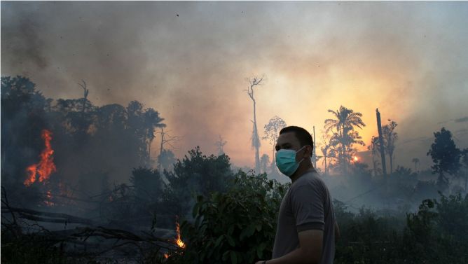 Pemerintah Diminta Keluarkan Perpu Terkait Kebakaran Hutan  