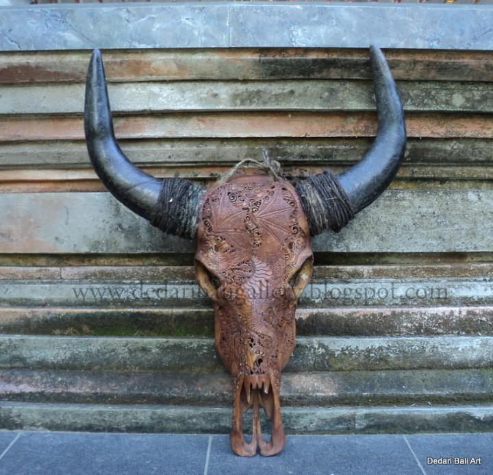 Warga Grobogan Temukan Fosil Kepala Kerbau Raksasa