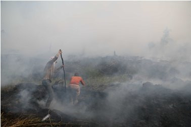 Kebakaran Semak di Bandara Domine Eduard Sorong Meluas